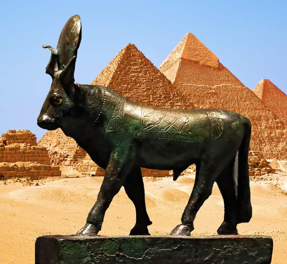 Ancient Egypt Apis Bull Facts About Ancient Egyptians - vrogue.co
